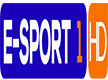 Logo E-Sport 1 HD