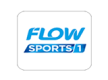 Logo Flow Sports 1